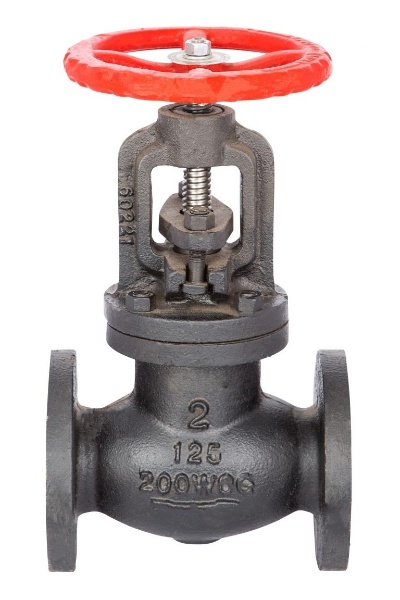 Cast Iron Globe Valve